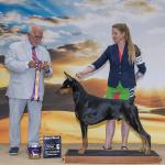 Best Of Breed:  GCHS Crosswind's Distance Over Time